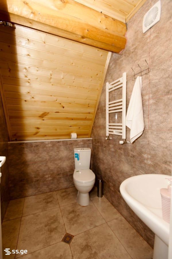 3 Room Summer Cottage Daily Rent. Borjomi view 8