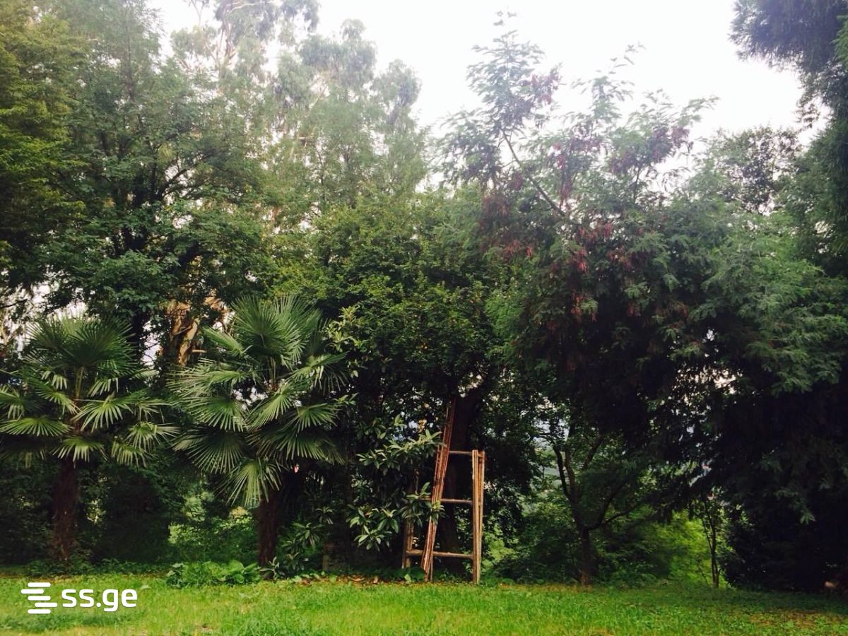 Продажа Private House в цихисдзири view 11