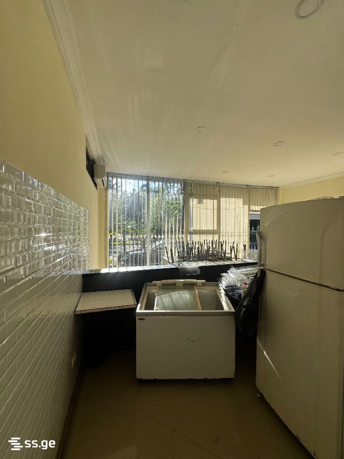 Commercial Real Estate For Rent. Kobuleti view 4
