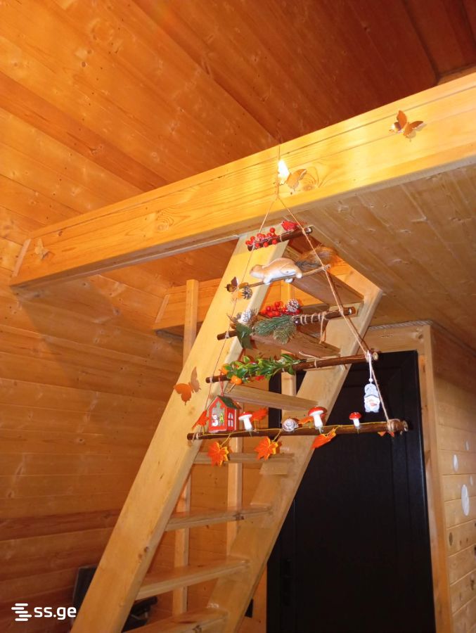 2 Room Summer Cottage Daily Rent. Manglisi view 11
