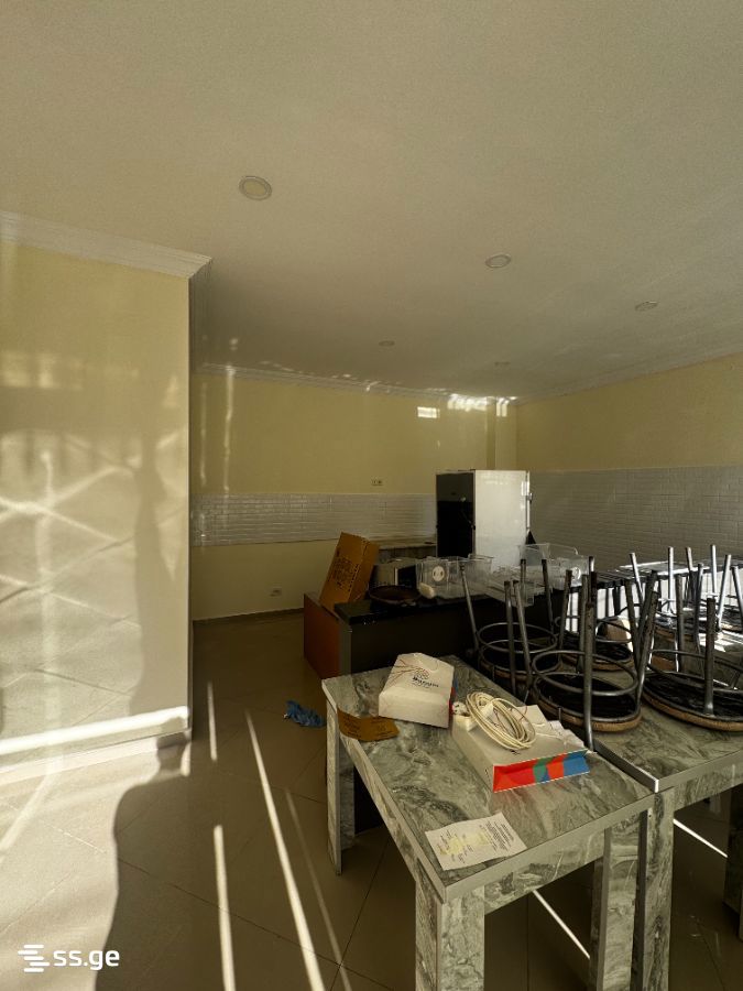 Commercial Real Estate For Rent. Kobuleti view 5