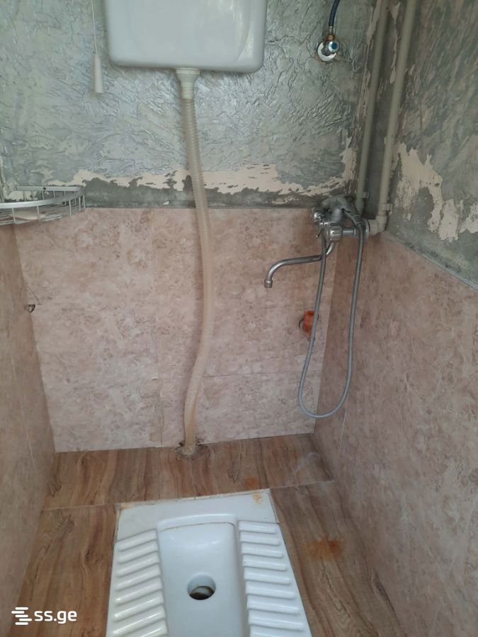 1 Room Private House For Rent. Zugdidi view 10