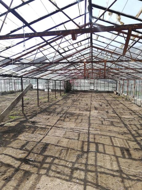 https://static.ss.ge/20260609/17_c1faceee-706f-4ab1-a4f0-dbdc951d2a03_Thumb.jpg