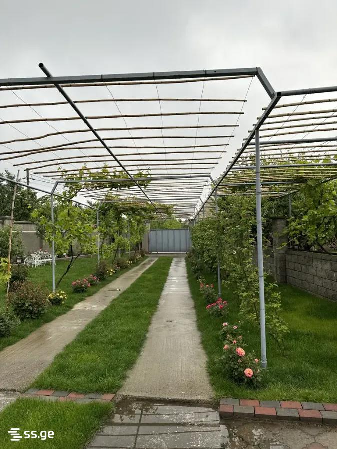 4 Room Private House For Rent. Navtlugi view 5