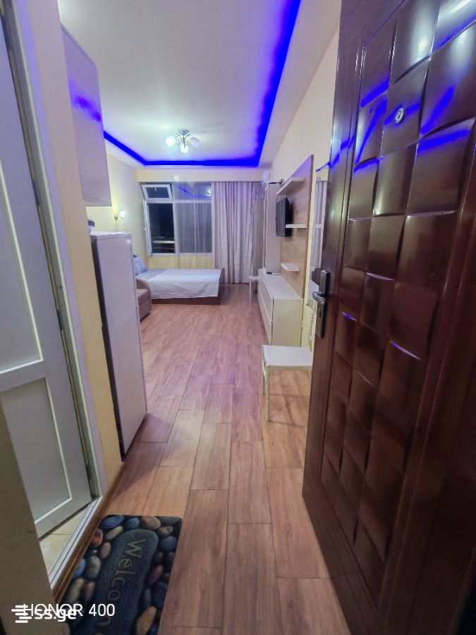 1 Room Flat Daily Rent. Kobuleti, 3 of 4