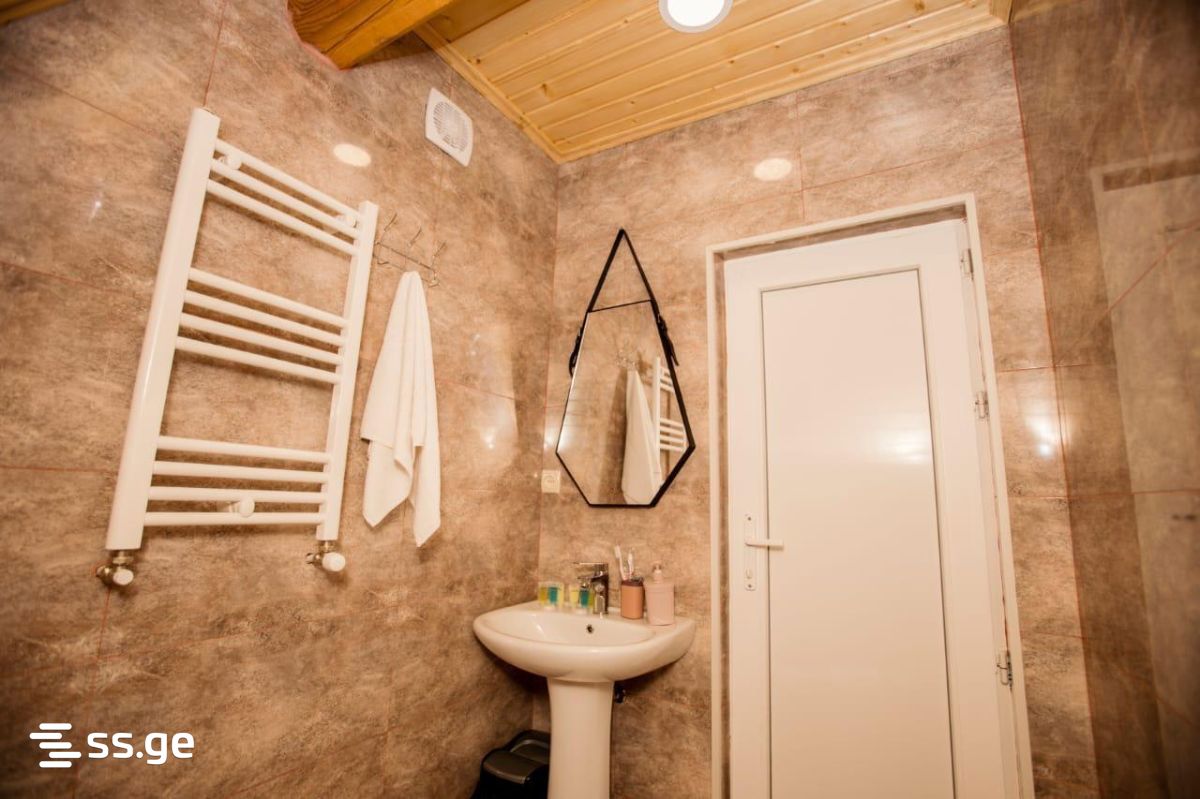 3 Room Summer Cottage Daily Rent. Borjomi view 11