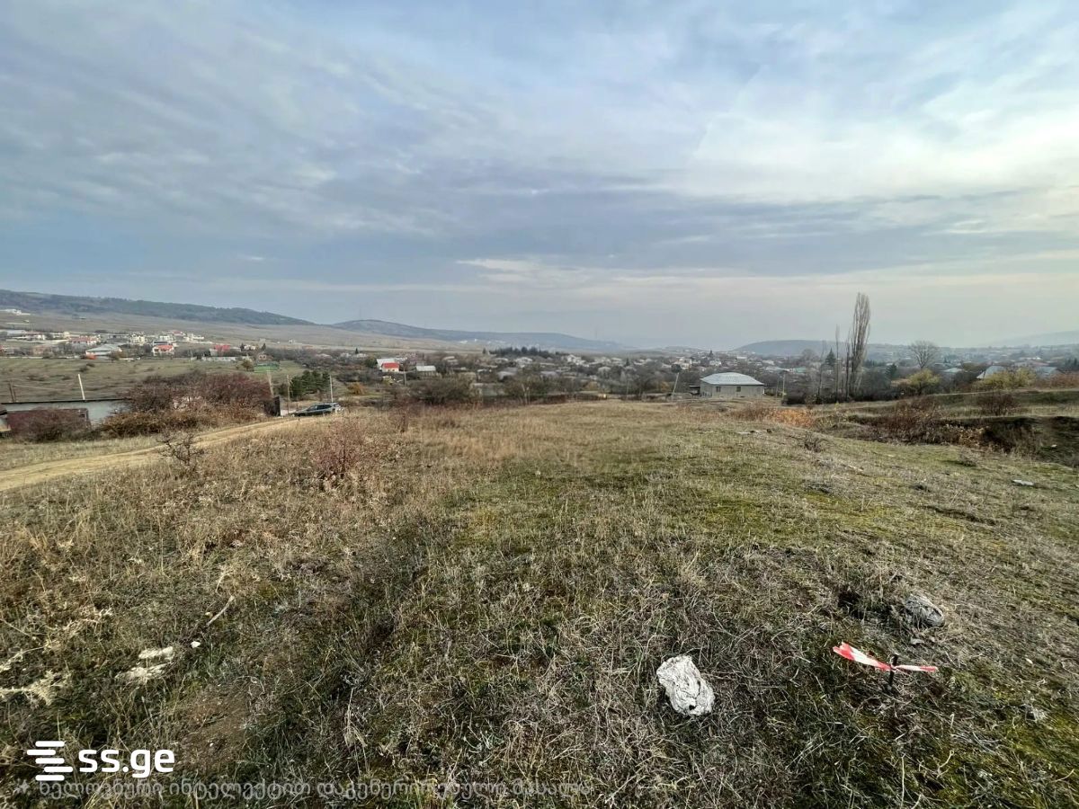 Land For Sale. Tsavkisi view 4