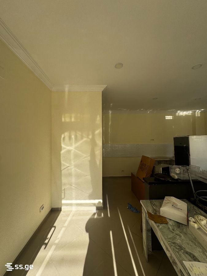 Commercial Real Estate For Rent. Kobuleti view 1