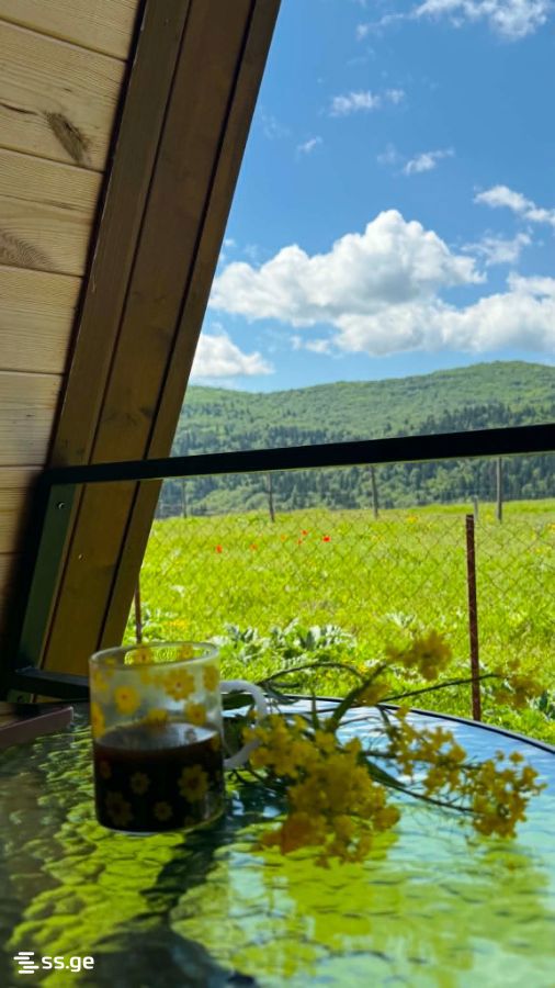 2 Room Summer Cottage Daily Rent. Manglisi view 10