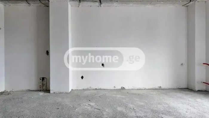 https://static.ss.ge/20260610/0_283ca372-92e8-4456-8e30-d03d7a224965_Thumb.jpg