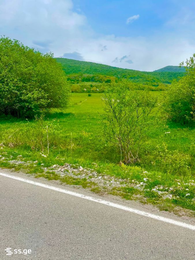 Land For Sale. Tianeti view 8