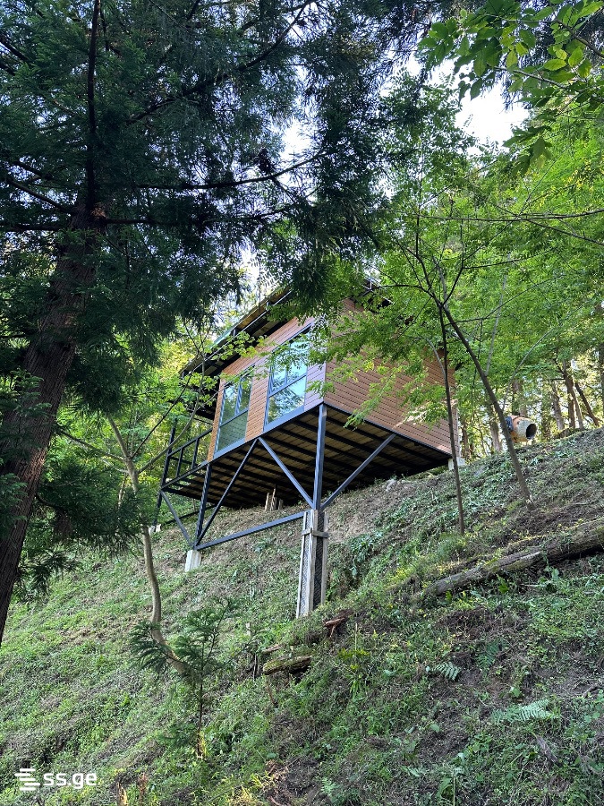 Summer Cottage For Sale. Shekvetili view 8