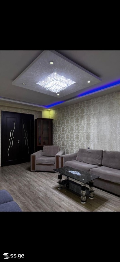 2 Room Flat Daily Rent. Rustavi view 3