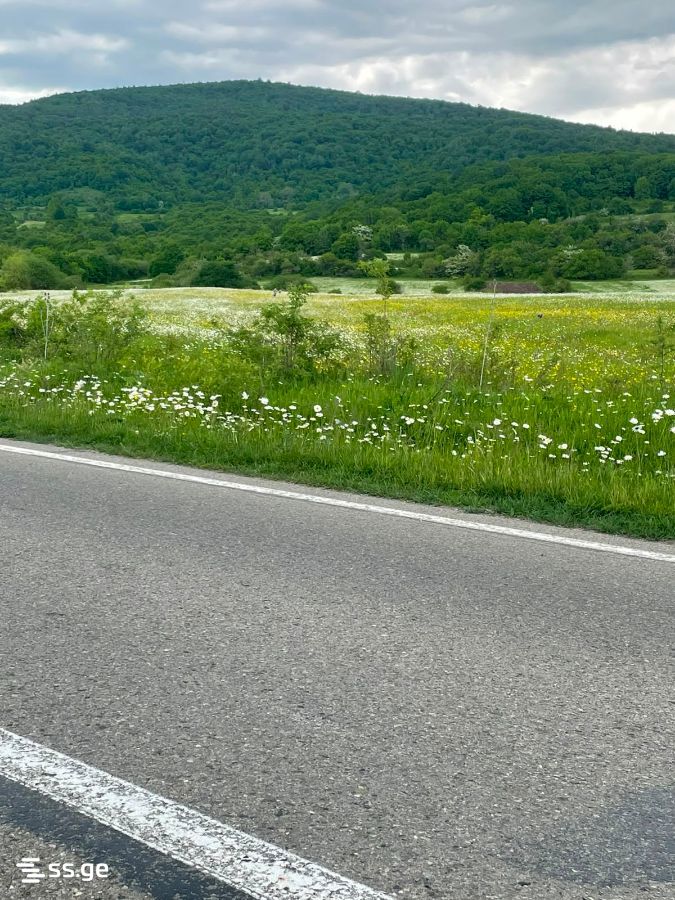 Land For Sale. Tianeti view 1
