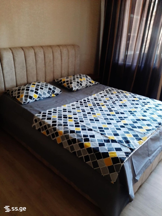 1 Room Flat Daily Rent. Rustavi view 6