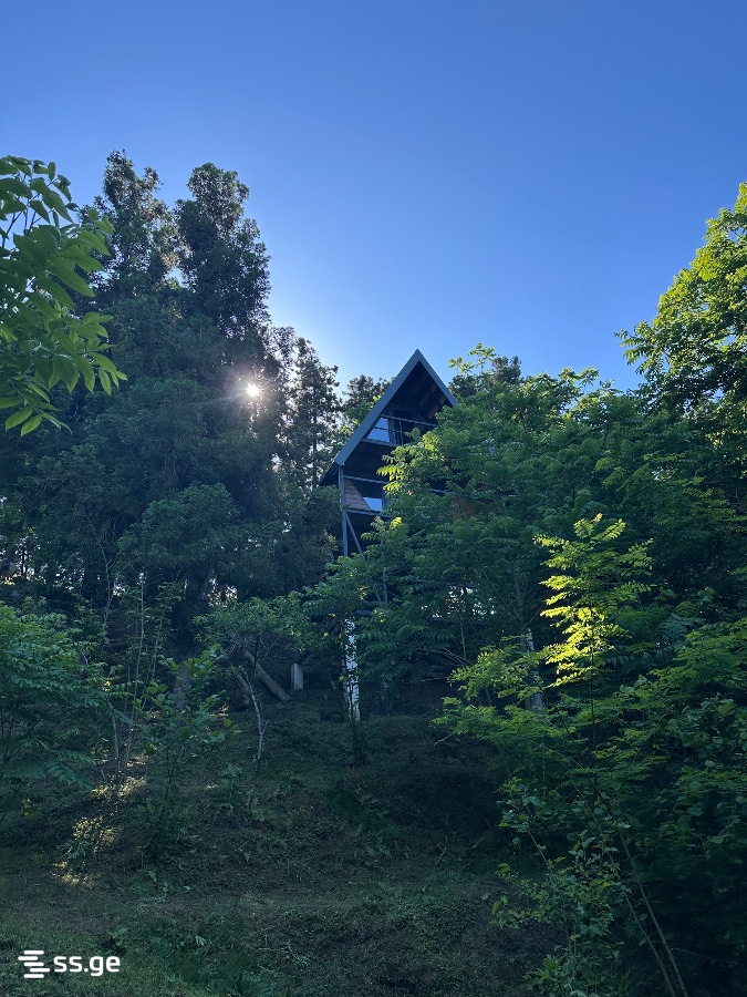 Summer Cottage For Sale. Grigoleti view 5