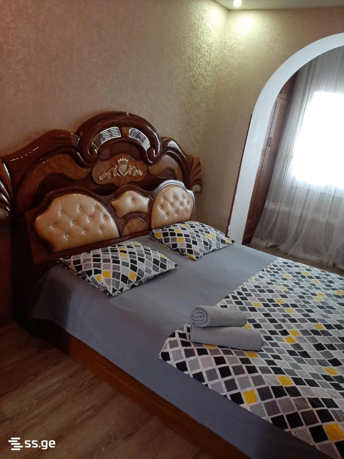 2 Room Flat Daily Rent. Rustavi view 1