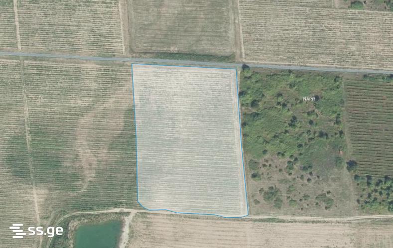 Продажа Земля / участок в Qvarelshi view 13