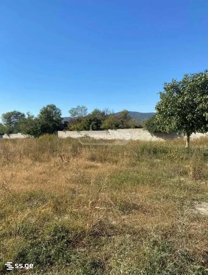 Store-Industrial Property For Rent. Saguramo, 4 of 4
