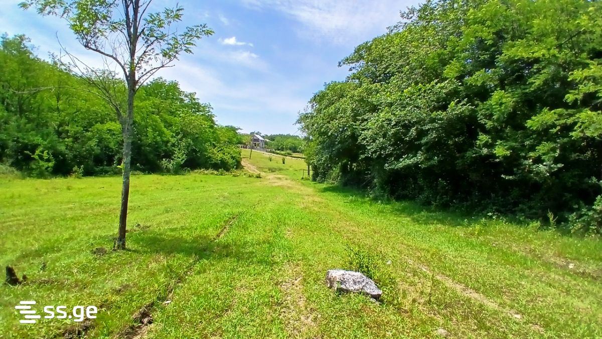 Land For Sale. Tskaltubo view 1