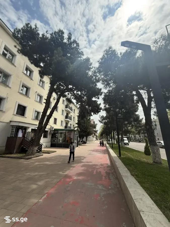 Commercial Space For Rent. Rustavi view 8