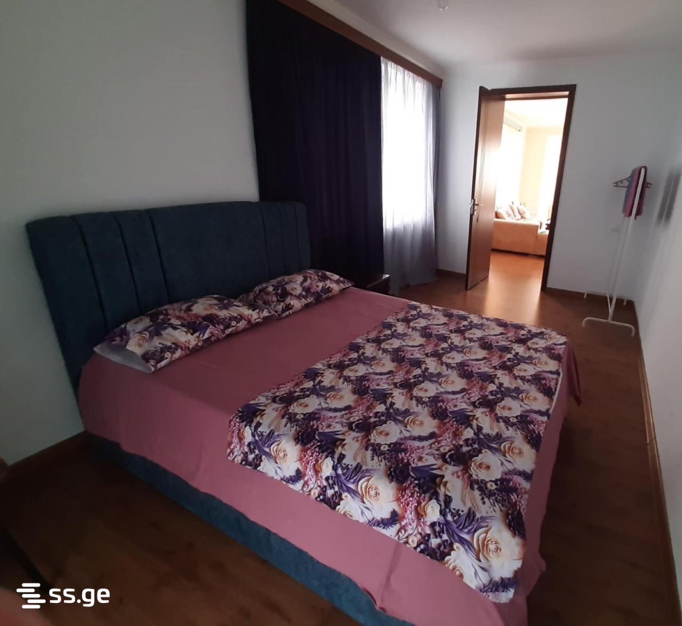 1 Room Flat Daily Rent. Rustavi view 1