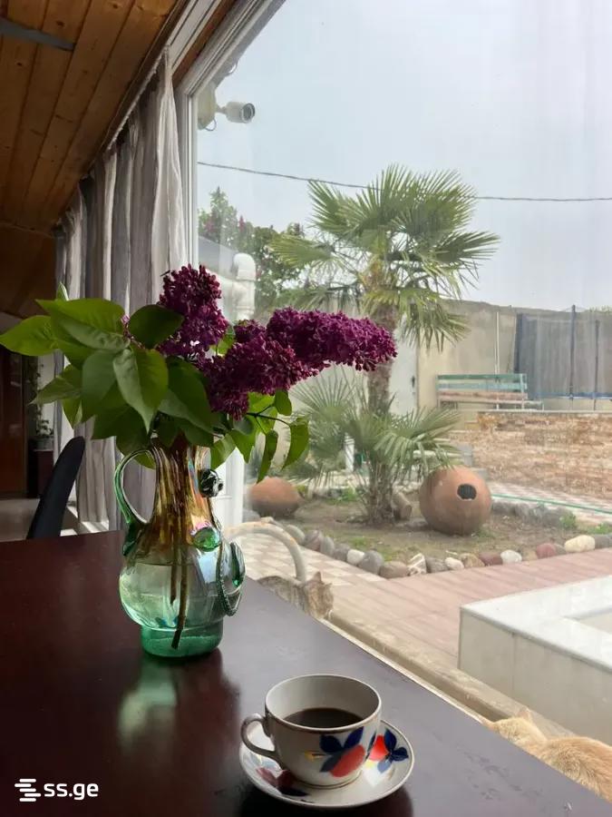 3 Room Private House Daily Rent. Gldani view 6