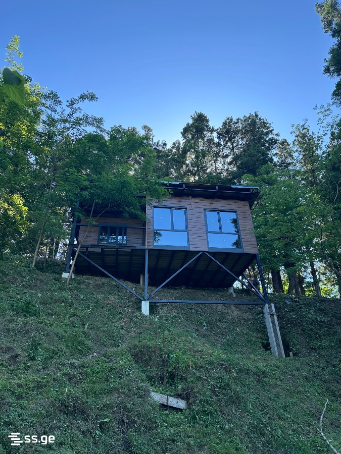 Summer Cottage For Sale. Grigoleti view 6