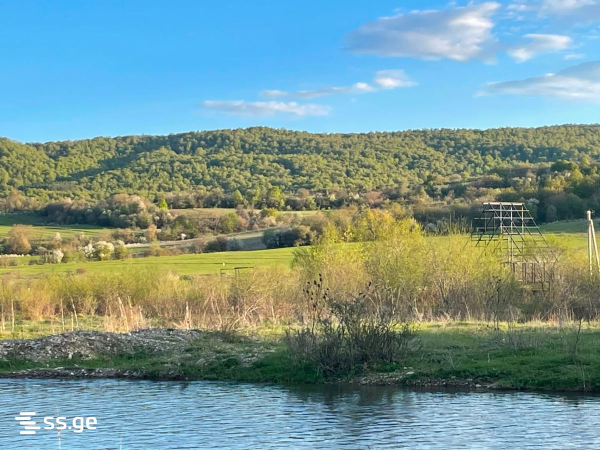 Land For Sale. Tianeti view 10