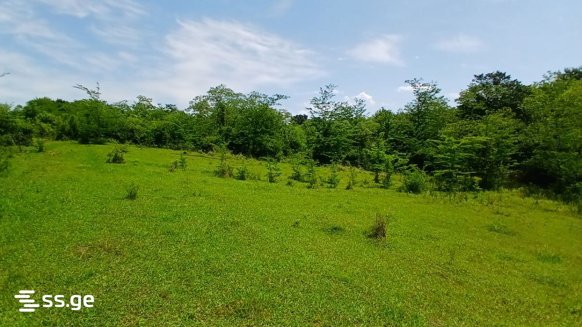 Land For Sale. Tskaltubo view 3