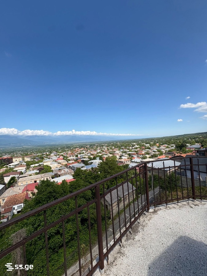 10 Room Hotel For Rent. Telavi view 8