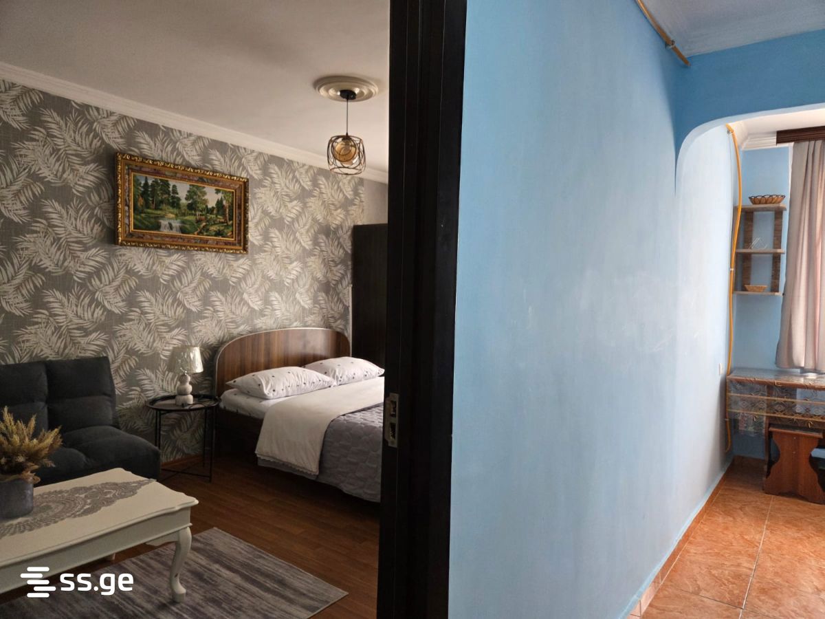 1 Room Flat Daily Rent. Poti view 6