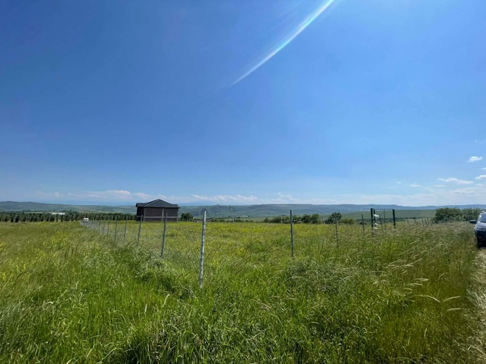 Land For Sale. Asureti