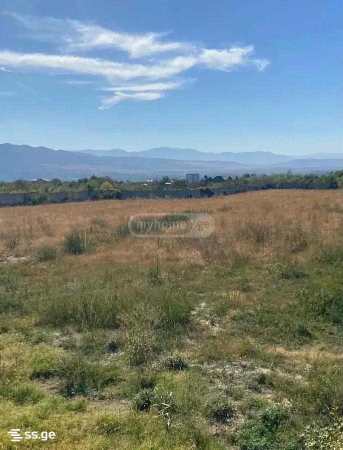 Store-Industrial Property For Rent. Saguramo