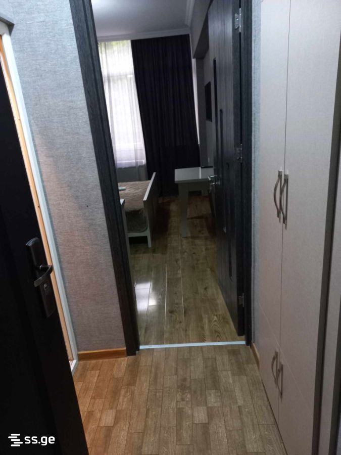 1 Room Flat Daily Rent. Borjomi view 2