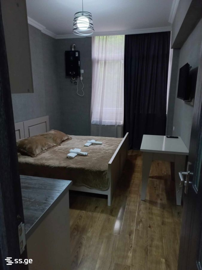 1 Room Flat Daily Rent. Borjomi view 7