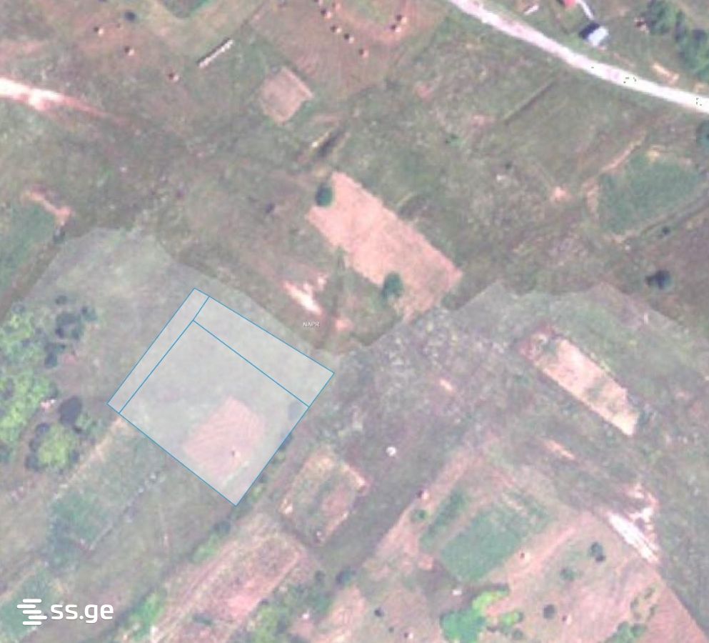 Land For Sale. Gudauri, 1 of 3