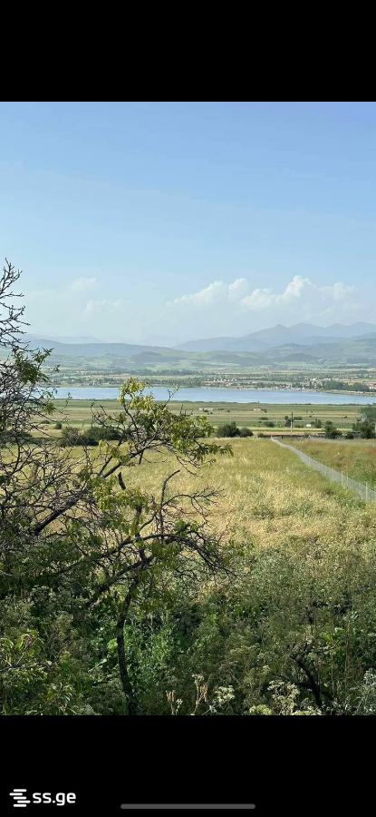 For Sale Sasoplo-Sameurneo Land Plot Dushetis Munitsipalitetshi view 4