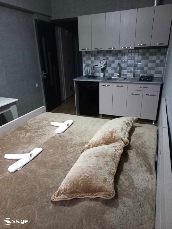 1 Room Flat Daily Rent. Borjomi view 1