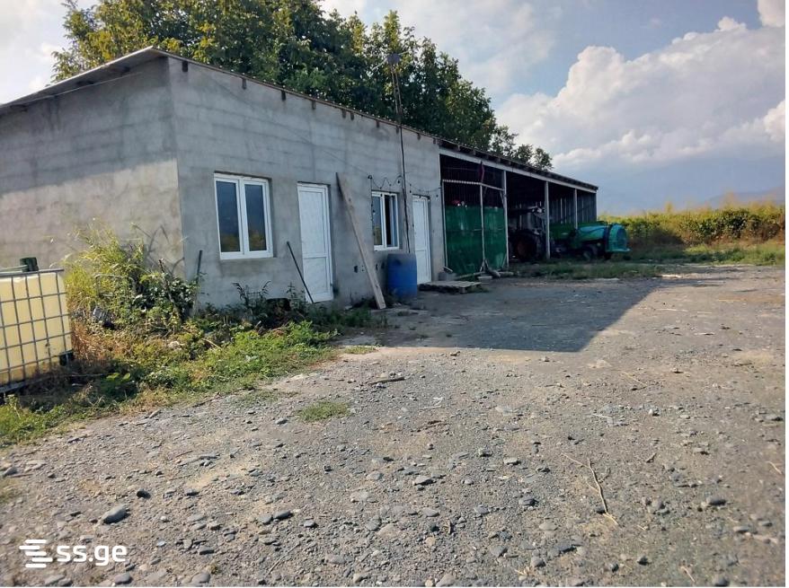 Продажа Земля / участок в Qvarelshi view 13