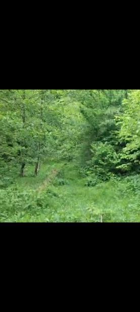 Land For Sale. Glola