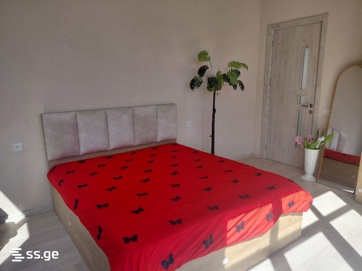 2 Room Private House Daily Rent. Varketili, 1 of 10