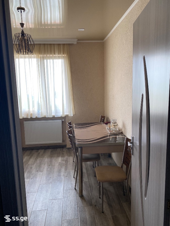 3 Room Flat Daily Rent. Tsikhisdziri view 8