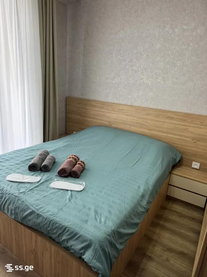 2 Room Flat Daily Rent. Didi Digomi view 1