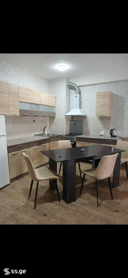 2 Room Flat Daily Rent. Varketili view 5