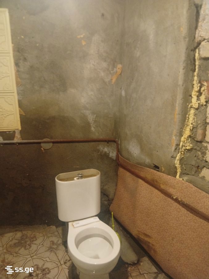 3 Room Private House Daily Rent. Chugureti view 12