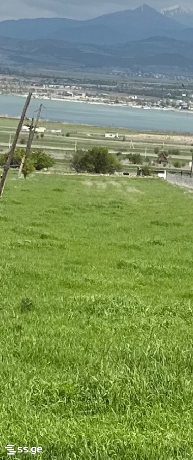 For Sale Sasoplo-Sameurneo Land Plot Dushetis Munitsipalitetshi view 5