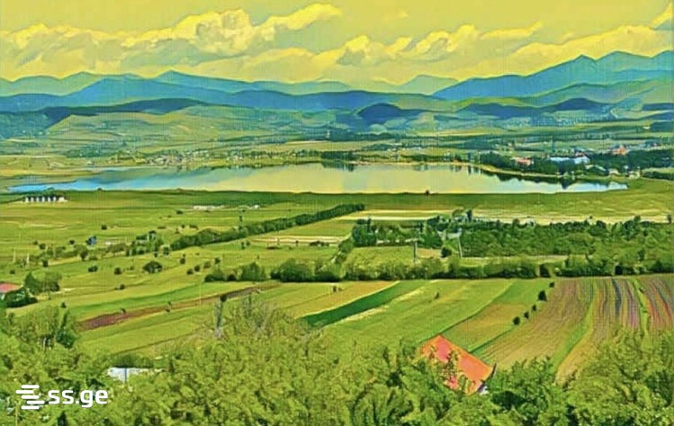 For Sale Sasoplo-Sameurneo Land Plot Dushetis Munitsipalitetshi view 6