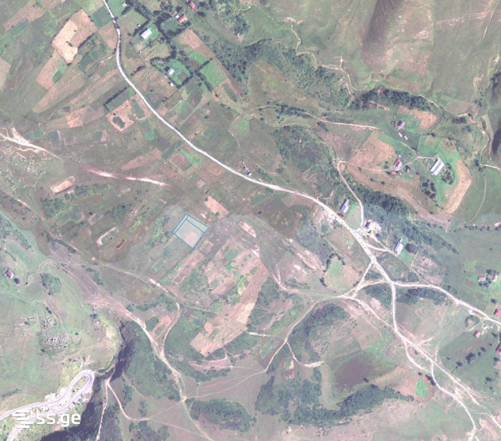 Land For Sale. Gudauri, 3 of 3