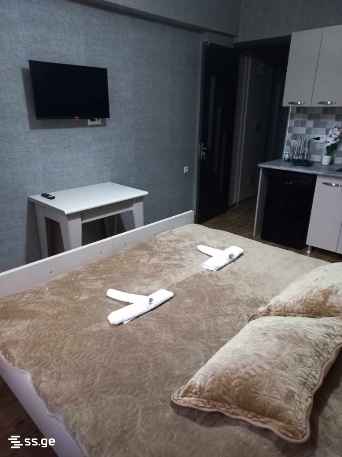 1 Room Flat Daily Rent. Borjomi view 3